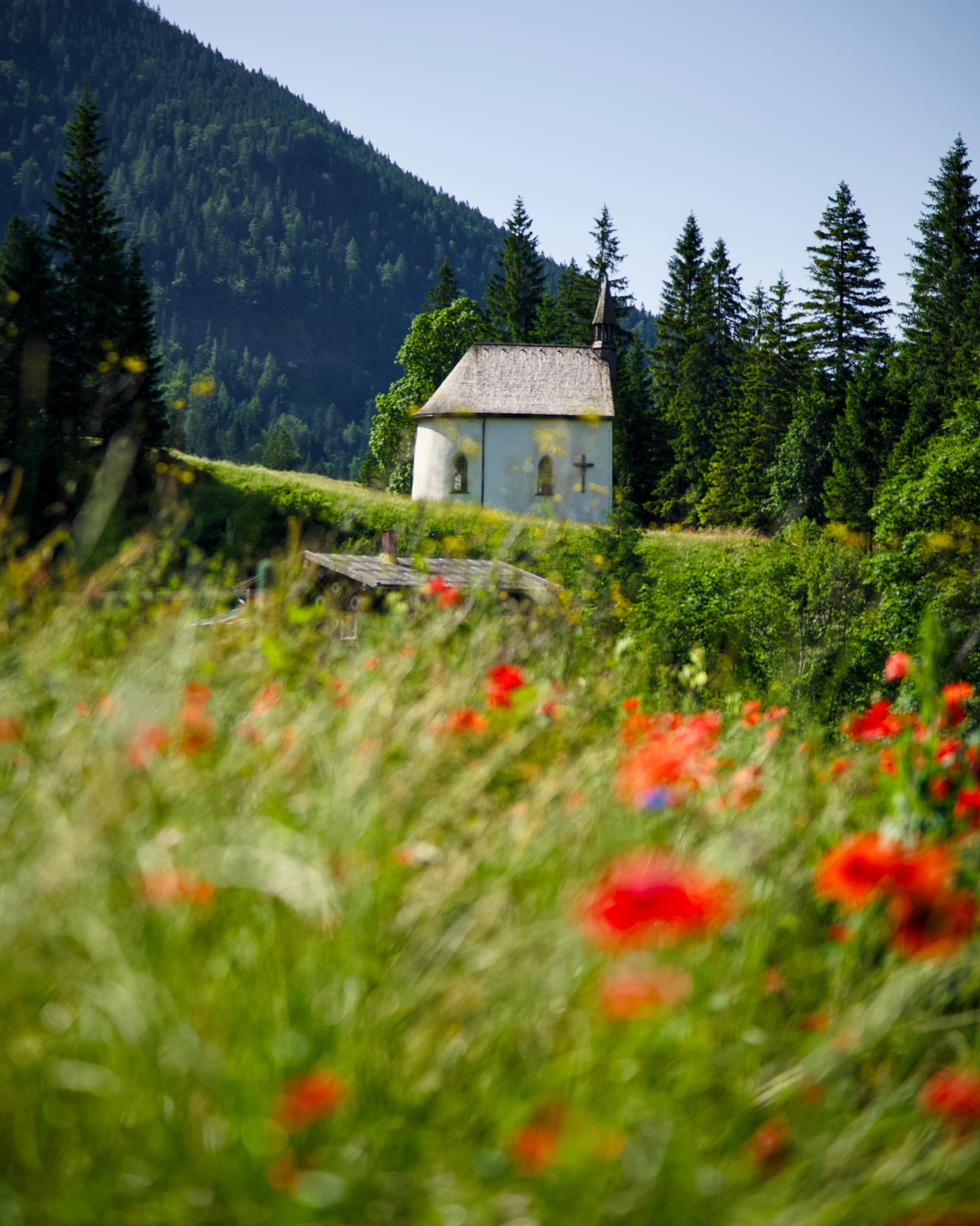 Photography by Peter Neupauer